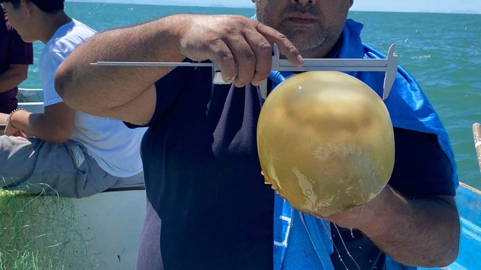 Favorece Gobierno de Sonora a pescadores con asistencia técnica y de organización en el Golfo de Santa Clara 